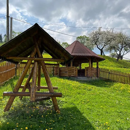 Casa Aurelia Guest house Moldovita